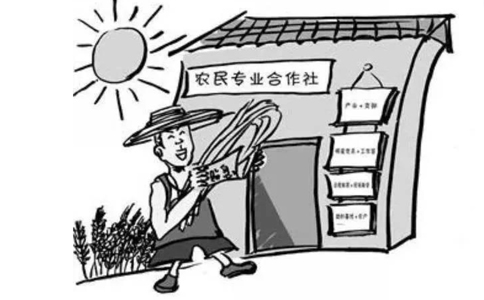 農(nóng)民專業(yè)合作社屬于企業(yè)法人嗎？農(nóng)民專業(yè)合作社的概念