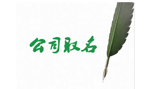 河南掌上名稱自主申報字號行業(yè)組織形式怎么填？