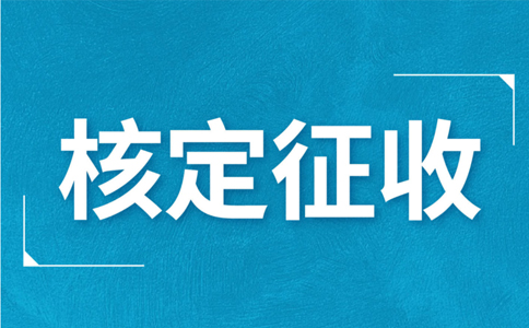 江西大額個體戶核定征收標準，2024年最新政策